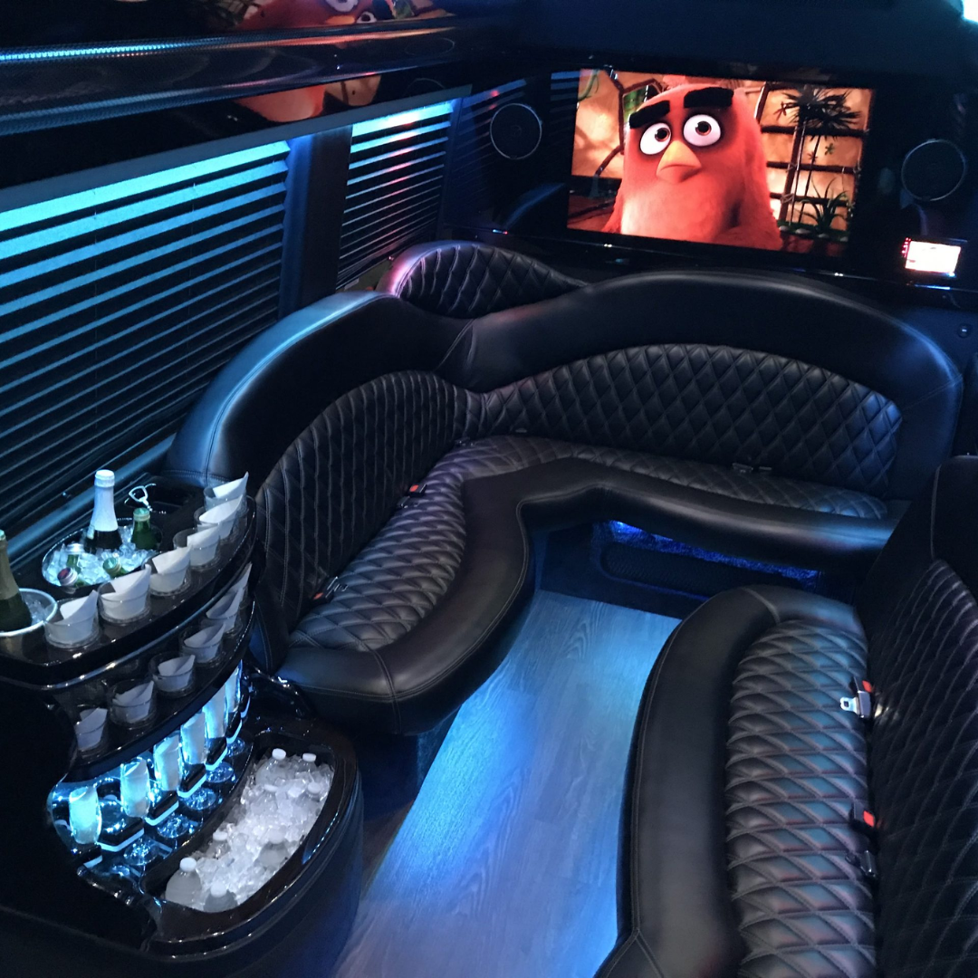 Sprinter Limo Inside 3